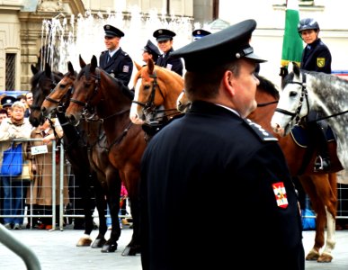 International Championship of Police Horse Riding - Opening Ceremony 09