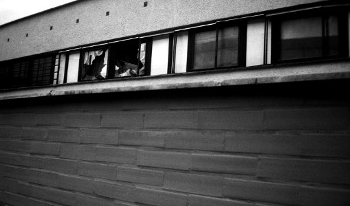 Elikon 35S - Abandoned Commercial Building - Detail with Pigeons
