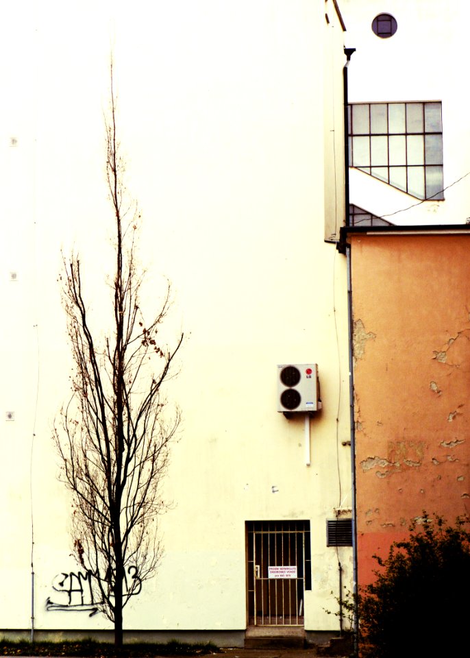 Tree, Tag and a House