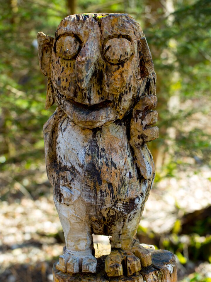 Look holzfigur carving