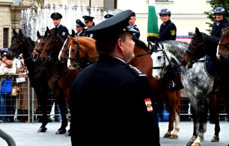 International Championship of Police Horse Riding - Opening Ceremony 08