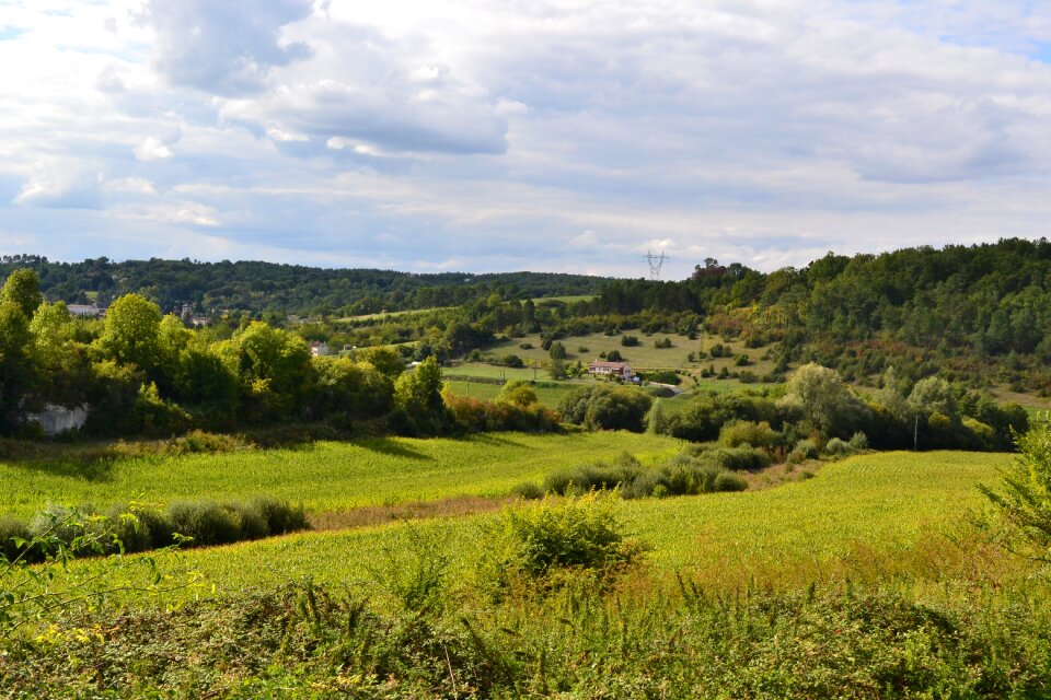 Pre fields landscape