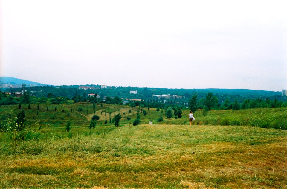 Landscape Hidden in the City
