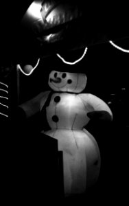 Praktica BC1 - Fake Snowman
