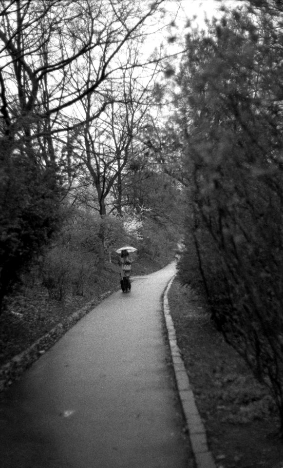 Praktica BC1 - People with Umbrellas 1