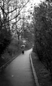 Praktica BC1 - People with Umbrellas 1