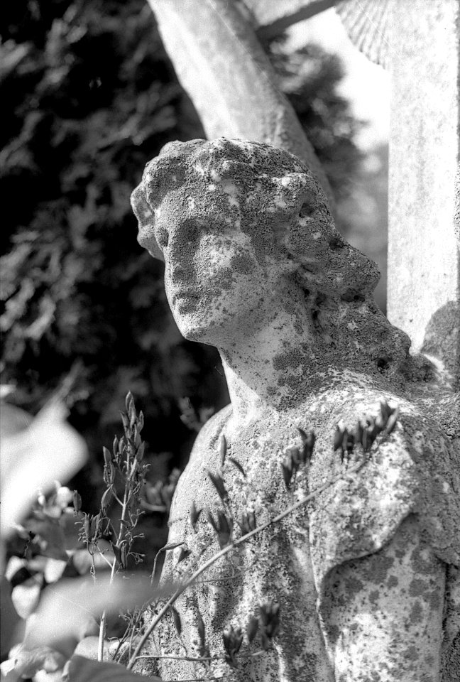 Praktica MTL 5 with Industar-61L/Z-MC - Gravestone Angel 4