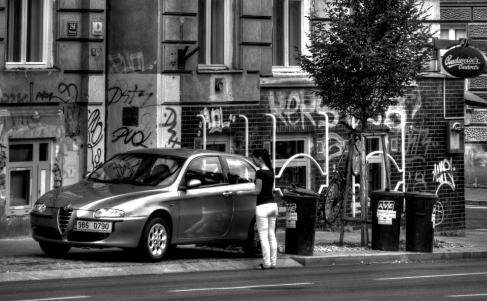 Young Woman next to her Car
