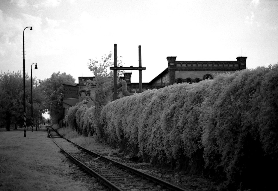 Canon EOS 30 with Canon EF 50mm f/1,8 II - Former City Slaughterhouse next to the Svitava River (infra) 1