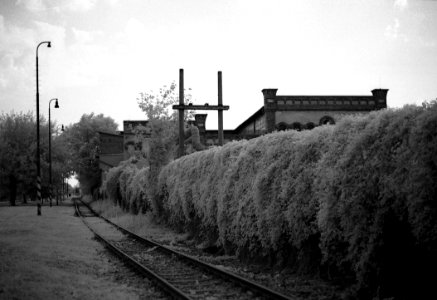 Canon EOS 30 with Canon EF 50mm f/1,8 II - Former City Slaughterhouse next to the Svitava River (infra) 1