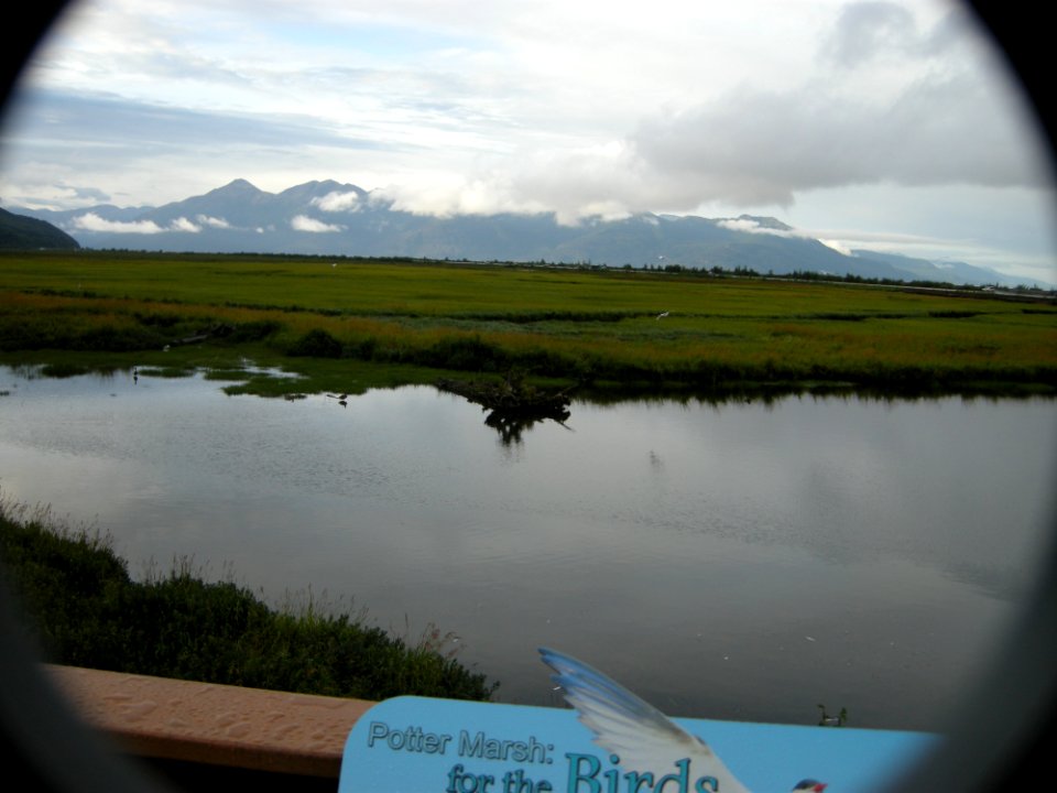 DSCN0448c Potter Marsh Boardwalk Anchorage AK 8-16-2018