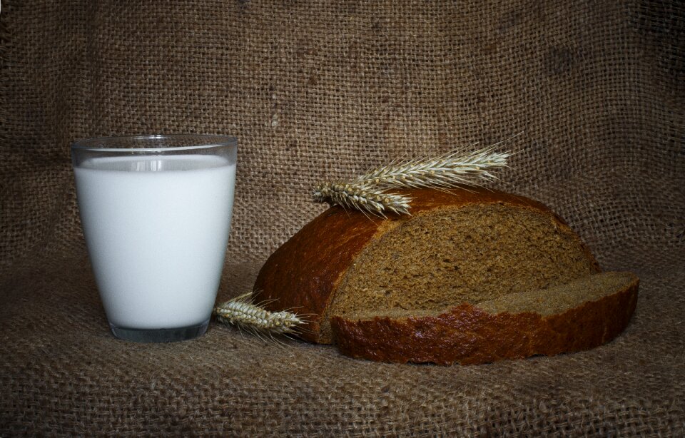 Ukraine bread life