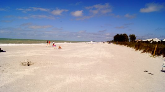 Florida1c (15) photo