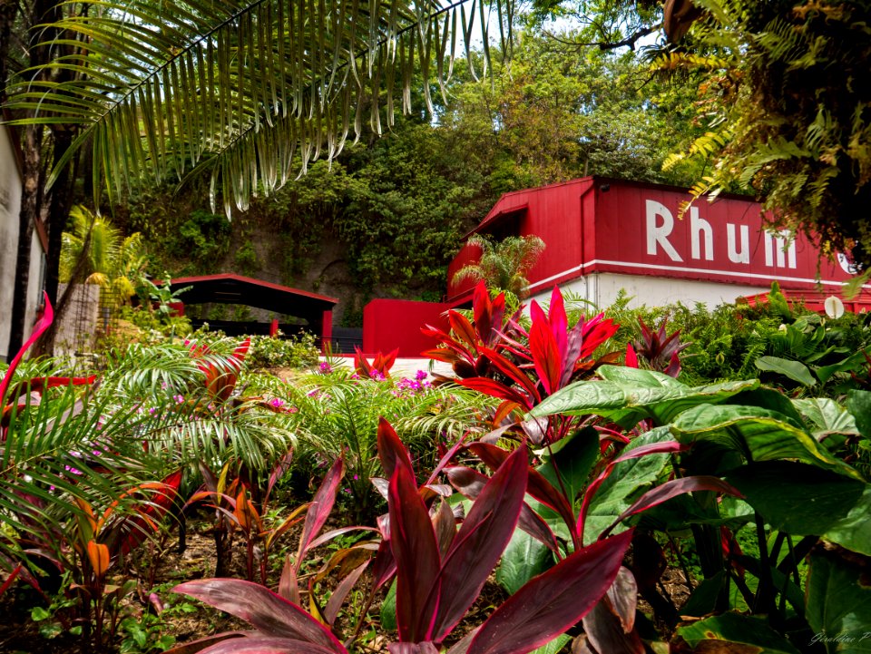 Madinina, distillerie JM