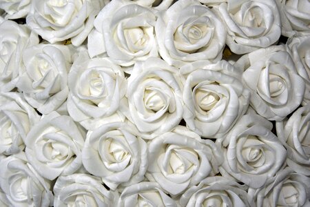 Table decoration floral arrangement flowers