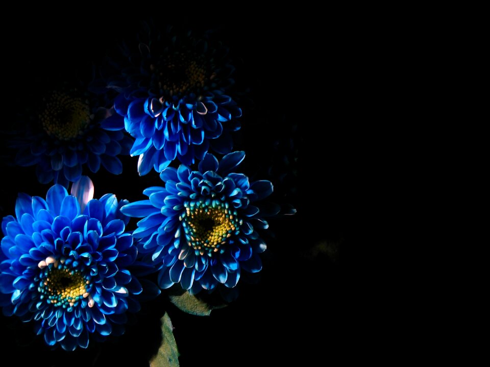 Wallpaper dark black