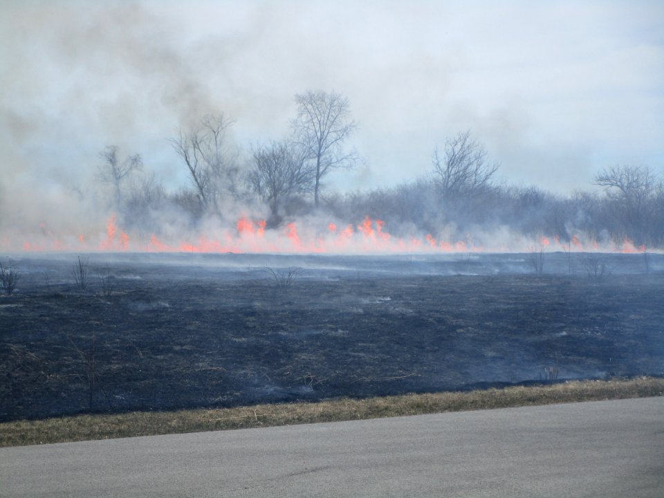 IMG 3652c Prairie Burn Perry Farm Kankakee Co IL 3-26-2018