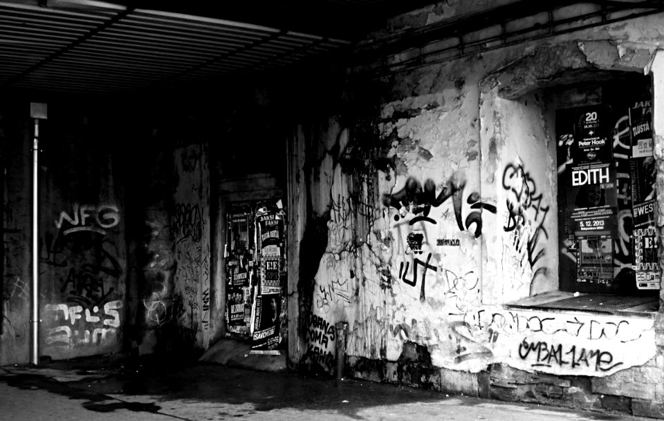 Desert of the Real B&W