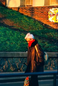 Praktica Super TL + Pentacon Electric 4/200 MC - Out of Focus