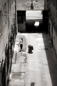 Yard Sweeper