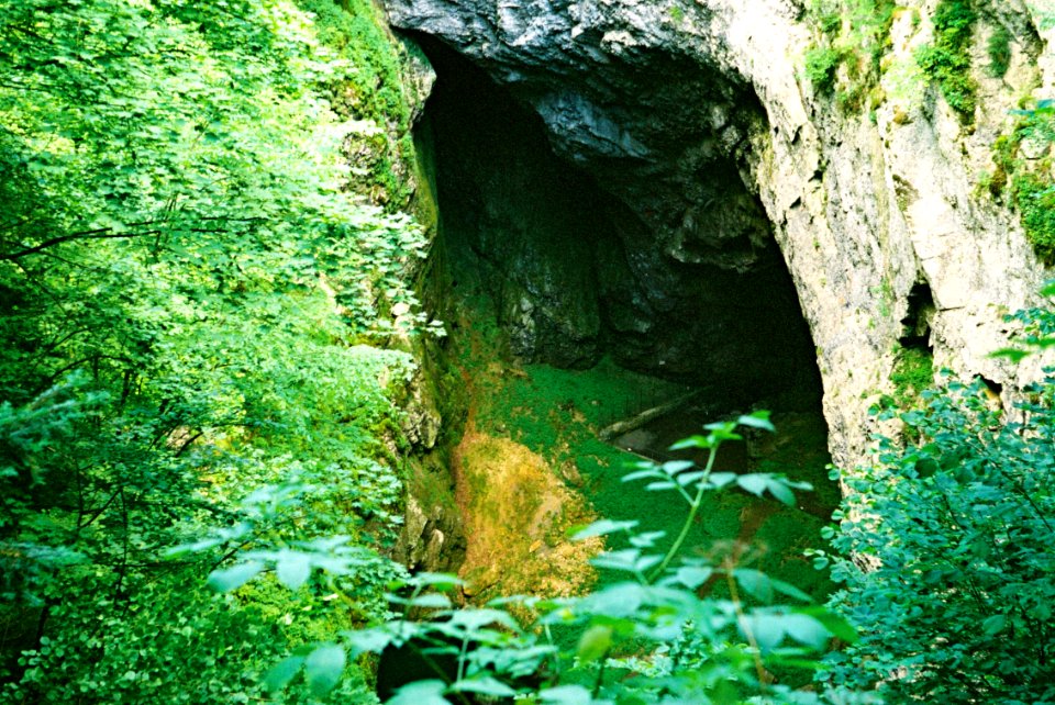 Exa + Tessar 2,8/50 - Macocha Gorge 1