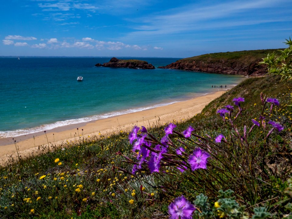 Houat juillet 2015-6