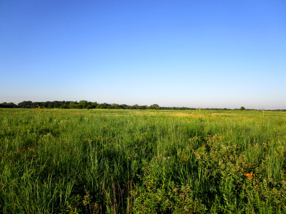 IMG 3017c Perry Farm Kankakee Co IL 7-8-2017