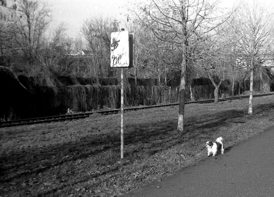 Orion EE - Landscape with a Doggie 02