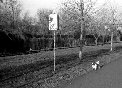 Orion EE - Landscape with a Doggie 02