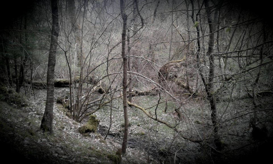 Řikonín Horror Story 02