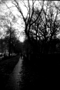 Holga 120FN - Sidewalk at Psychiatric Hospital photo