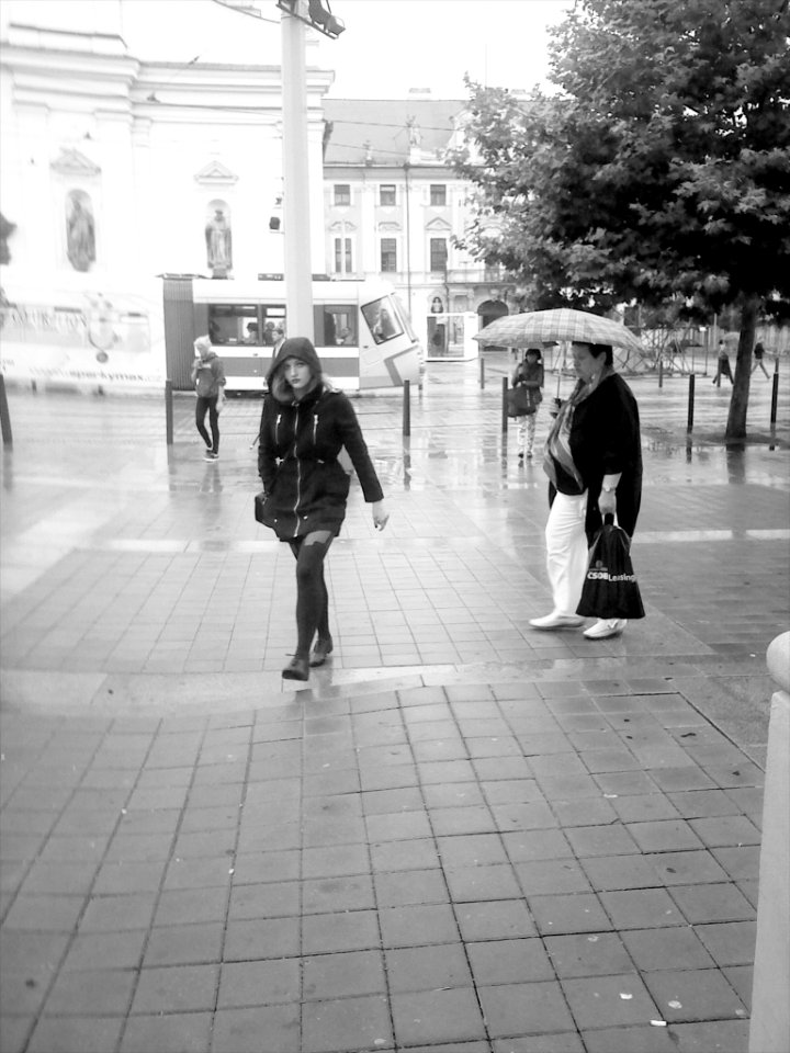 Sonim 05 - Tram Stop Česká
