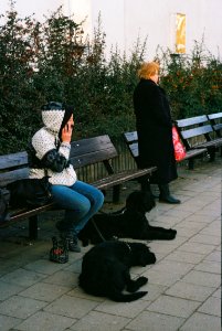 Praktica Super TL + Helios 44-2 2/58 - People and Dogs at a Bus Stop photo