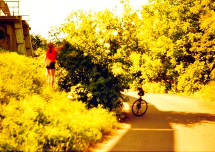 Praktica BC1 - Redscale - Woman Picking Elder Flowers