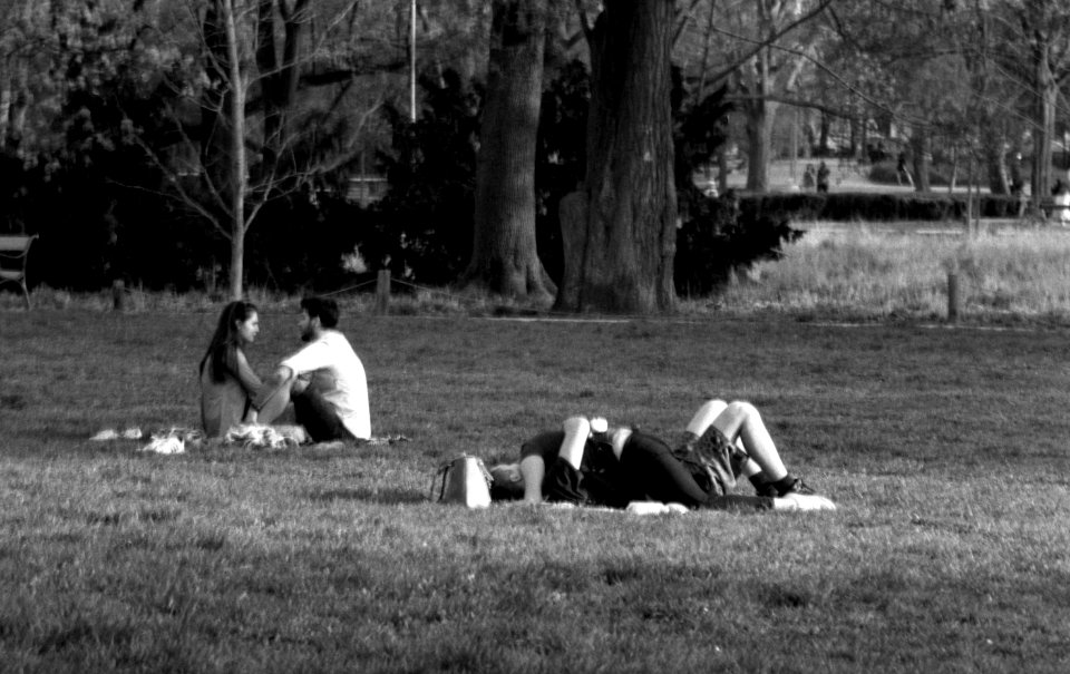 Praktica MTL 5 +  Helios 44-2 2/58 - Couples in the Park