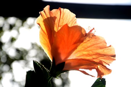 Aprendiendo Fotografía