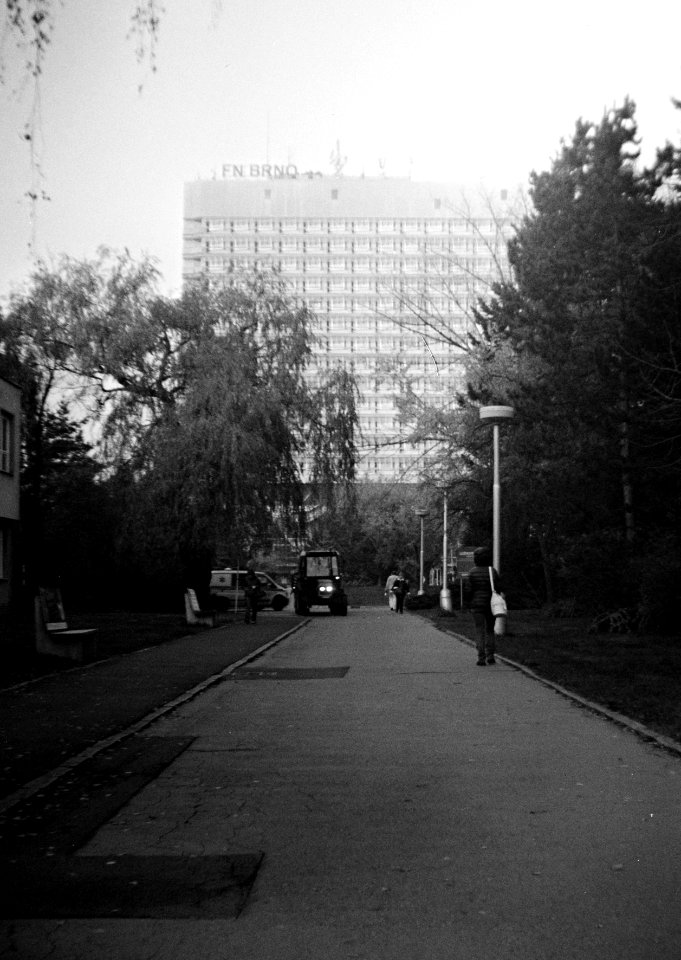 Portrait Brownie No2 - Bohunice Hospital Scene 1