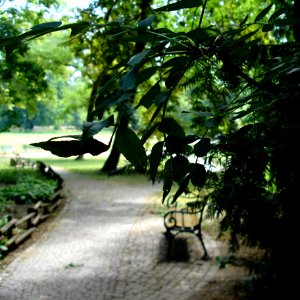 A Bench
