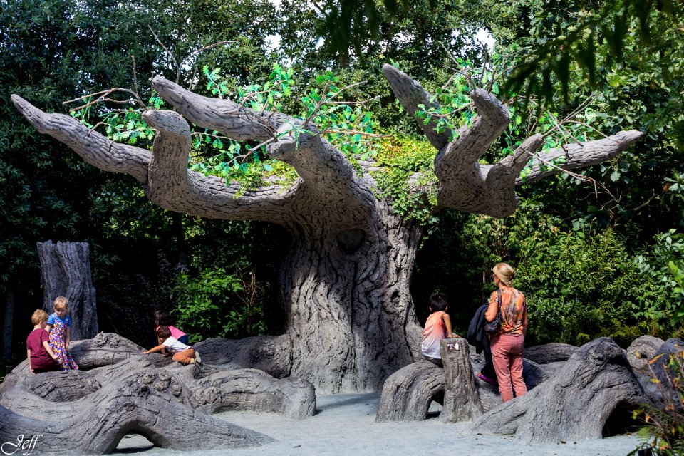 Terra botanica Angers Maine et Loire-81