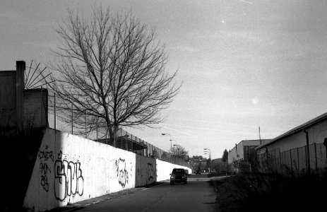 Contax D + Edixa-Iscotar - Cars