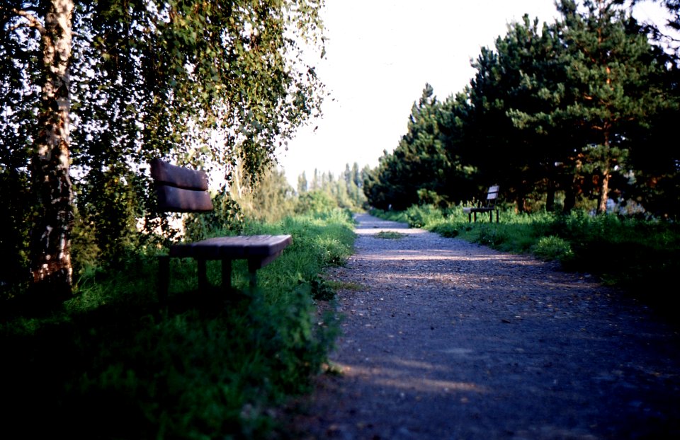 Praktica MTL5 + Helios-44M-4 - Path and Benches