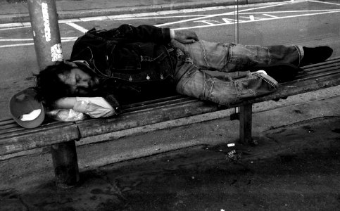 Sleeper at the Tram Stop photo