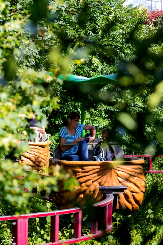 Terra botanica Angers Maine et Loire-85
