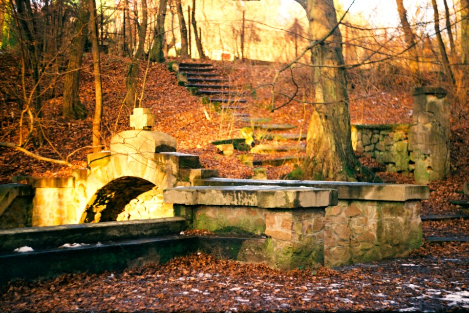 Praktica MTL3 + Edixa-Iscotar - Golden Hour Magick 1