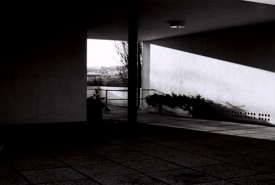 Canon EOS30 + ORWO DP3 film - Villa Tugendhat - Detail 1