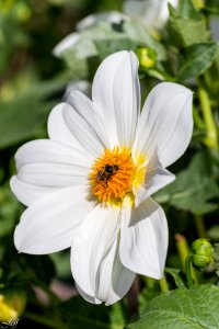 Terra botanica Angers Maine et Loire-111