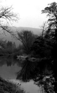 Ricoh TLS 401 -  Svitava River 1