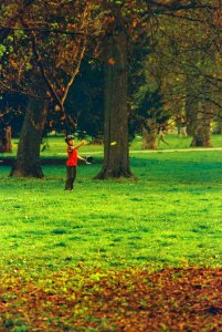 Praktica MTL 5 + Pentacon Electric 4/200 MC - Little Baseball Player in the Park