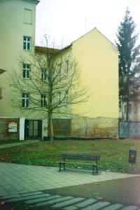 Vilia - Tree and Bench