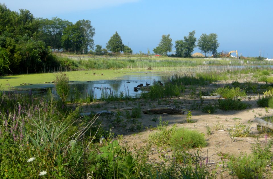 DSCN7709c Samuel Meyer's Park Racine WI 8-18-2016